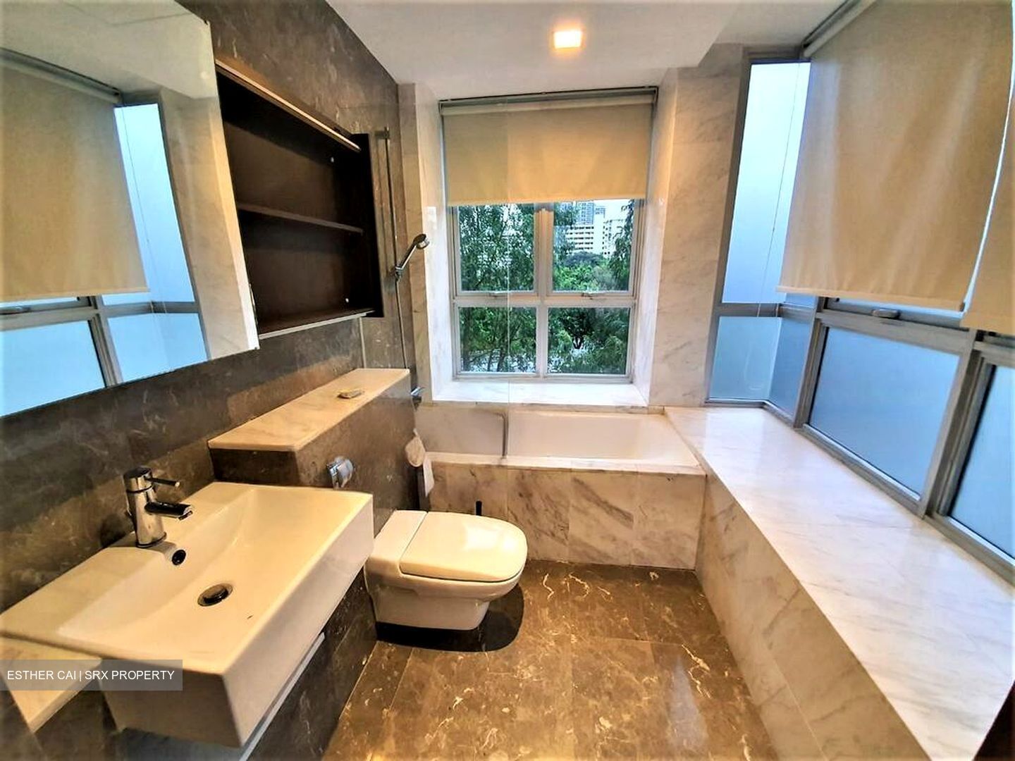 The Parc Condominium (D5), Condominium #464382901